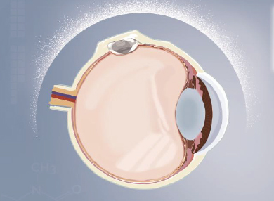 ����� | �ٷ���վ