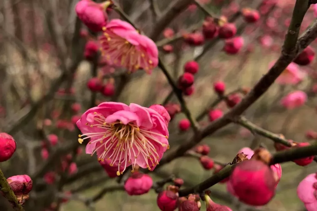 ����� | �ٷ���վ