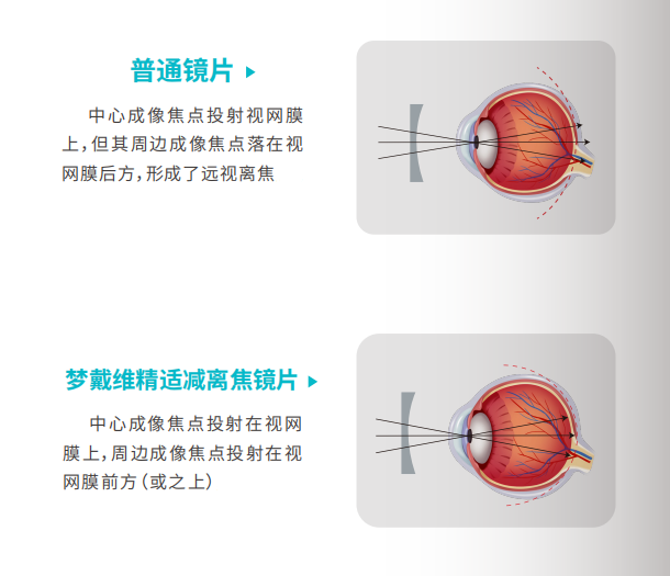 ����� | �ٷ���վ