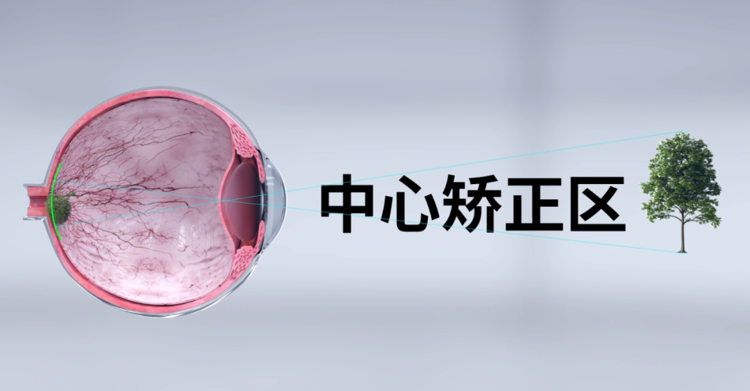 ����� | �ٷ���վ