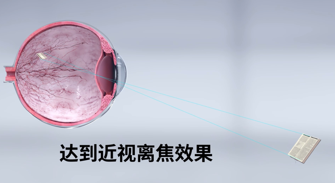 ����� | �ٷ���վ